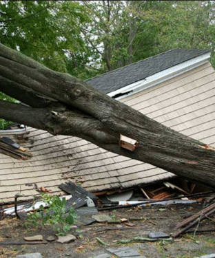 Storm-Cleanup-4